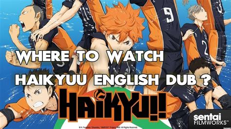 haikyuu wiki|where to watch haikyuu english dub.